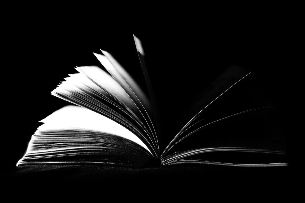 Aufgeschlagenes Buch in Schwarz-Weiß Onepager oder mehrseitige Website: Die richtige Wahl treffen.Welche Webseitenstruktur ist die richtige Wahl?